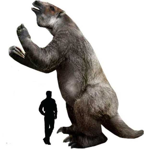 Megatherium la quai thu cao toi 6m, nang den 5 tan-Hinh-9