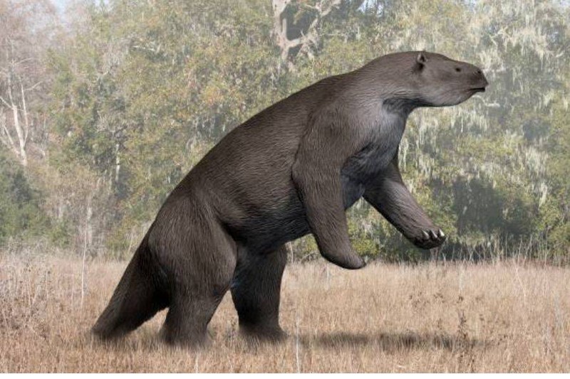 Megatherium la quai thu cao toi 6m, nang den 5 tan