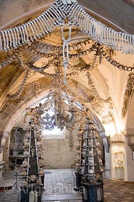 Rung Hoia Baciu, nha tho Sedlec Ossuary… la nhung diem den rung ron-Hinh-8