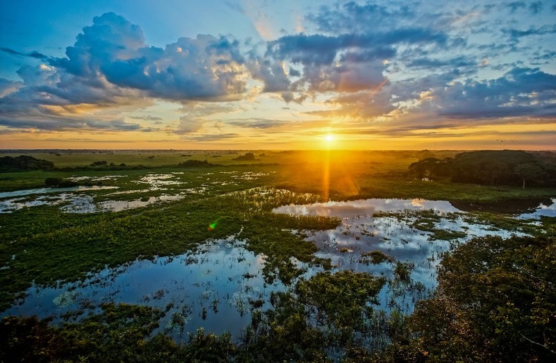 Pantanal la vuong quoc cua 'quai vat' khong lo-Hinh-2