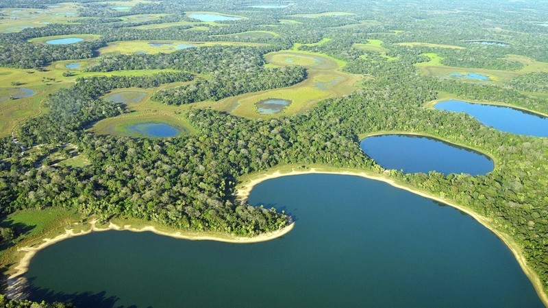 Pantanal la vuong quoc cua 'quai vat' khong lo