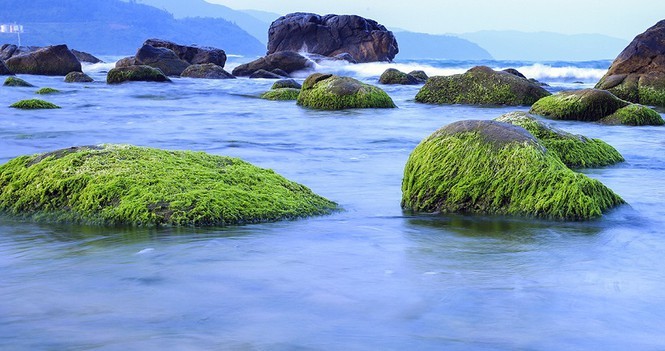 Giao ghenh Nam O cho Trung Thuy Da Nang quan ly, yeu cau khong khai thac thuong mai