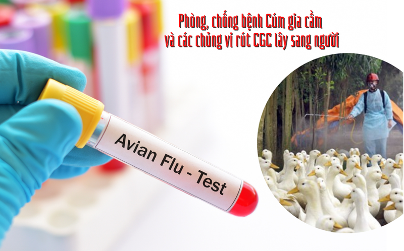 Vien Pasteur TP HCM trien khai gap bien phap phong cum H5N1-Hinh-2