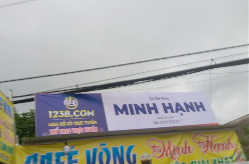 Tran lan pano quang cao co bac, Pho chanh Thanh tra So Van hoa Dong Nai noi gi?-Hinh-4