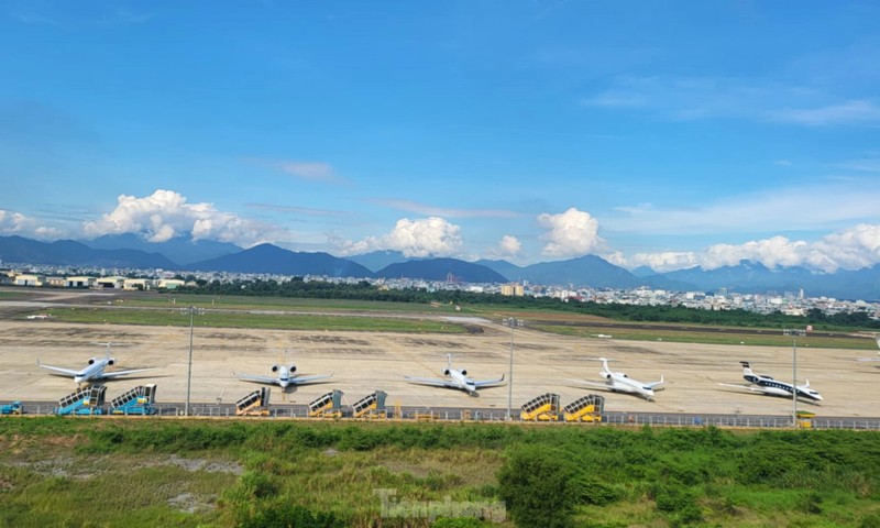 Nguoi dan Da Nang ngam 'chuyen co ty phu' tu san thuong-Hinh-4