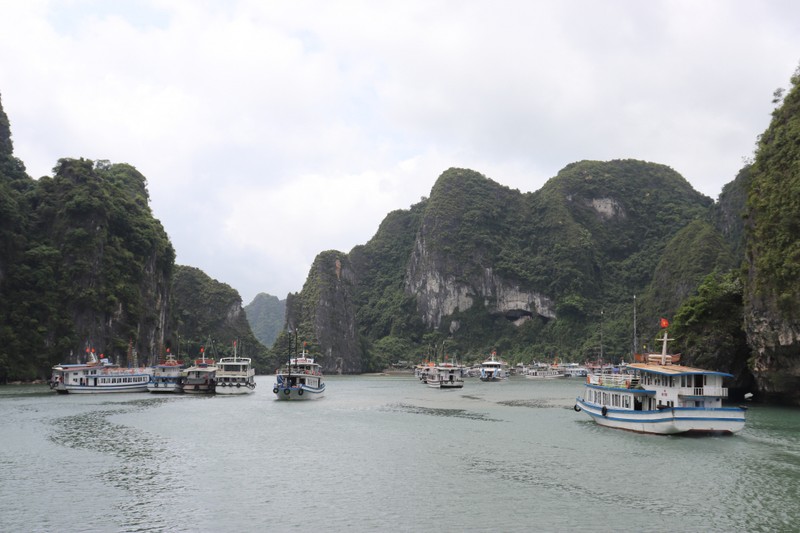 Nhieu tau du lich Hai Phong hoat dong trai phep tren vinh Ha Long