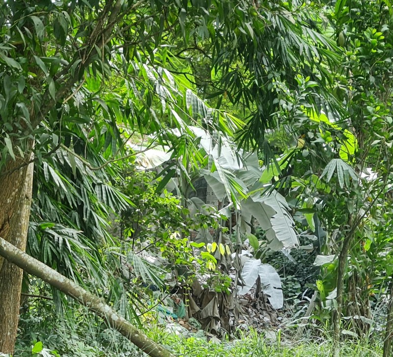 Dong Nai: “La phoi xanh” cua TP Bien Hoa ngay cang thung lon?-Hinh-15