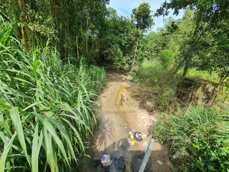 Dong Nai: “La phoi xanh” cua TP Bien Hoa ngay cang thung lon?-Hinh-17