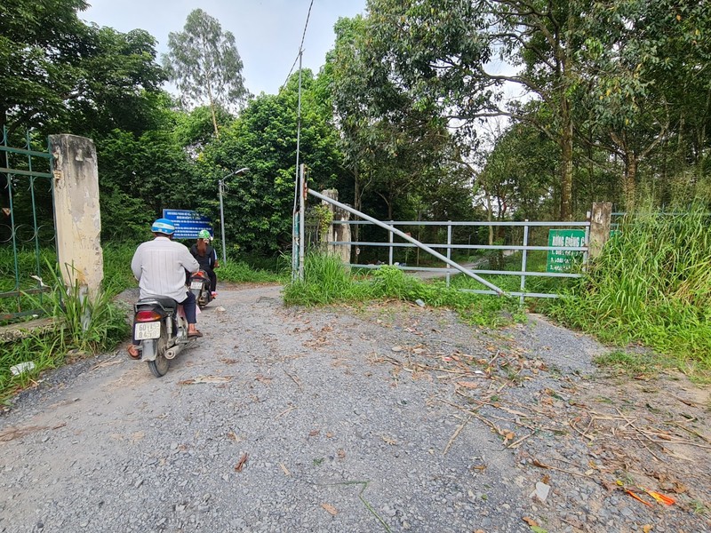 Dong Nai: “La phoi xanh” cua TP Bien Hoa ngay cang thung lon?-Hinh-6