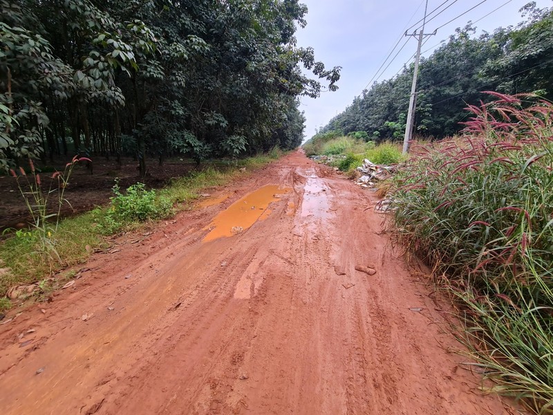 Vi sao cong ty An Phuoc co the hoat dong vo tu tren dat quoc phong?-Hinh-10