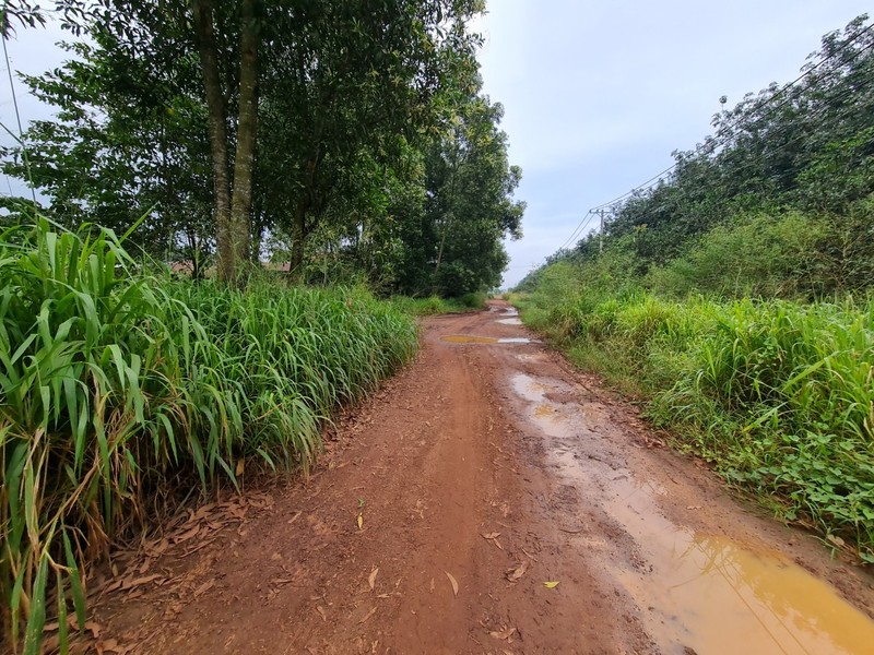 Vi sao cong ty An Phuoc co the hoat dong vo tu tren dat quoc phong?-Hinh-11