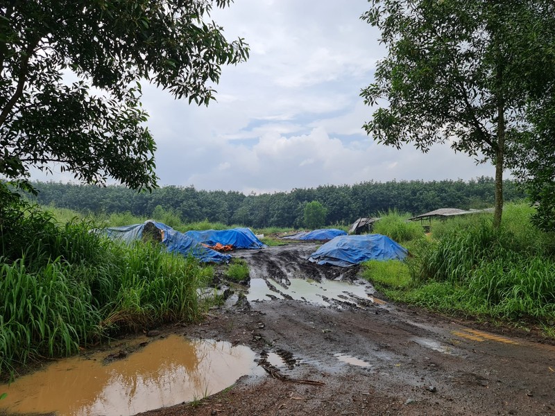 Vi sao cong ty An Phuoc co the hoat dong vo tu tren dat quoc phong?-Hinh-2