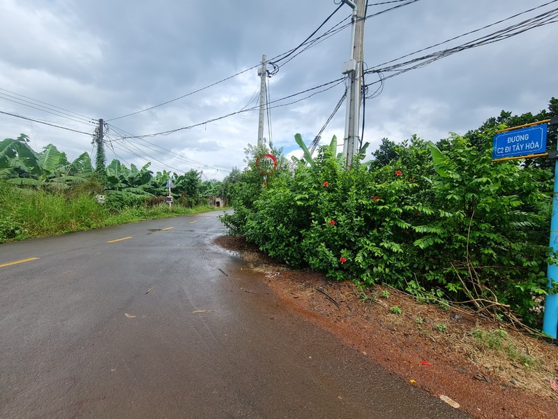 Trang Bom (Dong Nai): Cty Hung Phi va Cty Dai Dai Hung la nhung “ong trum” du thau dau tu cong?-Hinh-6