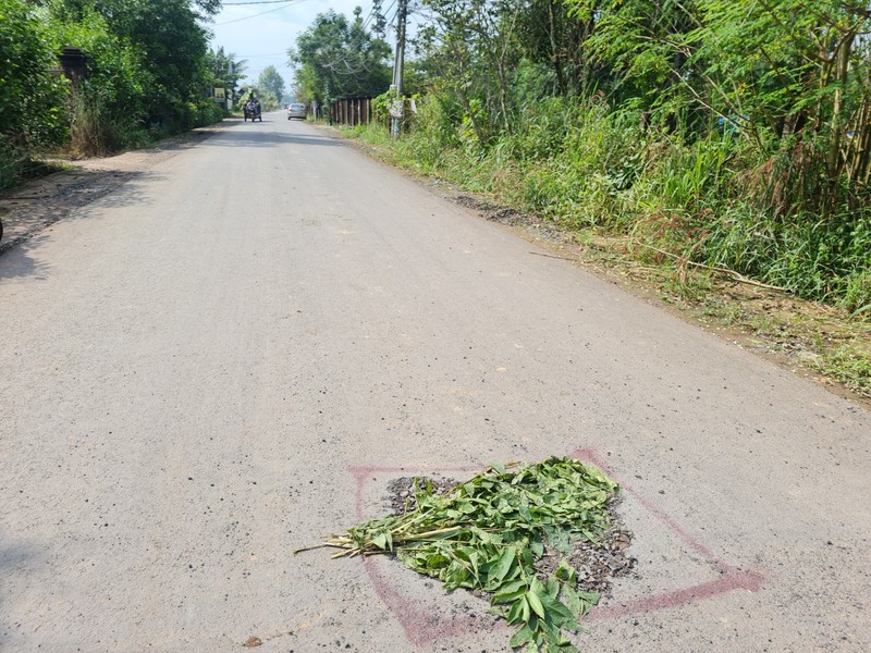 Trang Bom (Dong Nai): Dan tuoi nuoc khien duong tien ti vua nghiem thu da hong?-Hinh-15