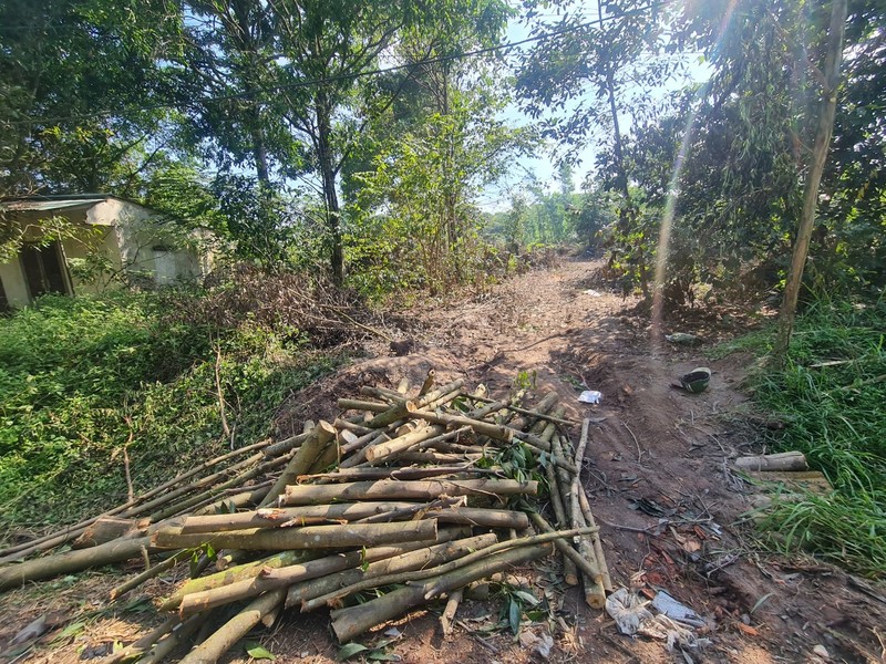 Bien Hoa (Dong Nai): Rung phong ho Bien Hoa tiep tuc bi “duc pha”?-Hinh-10