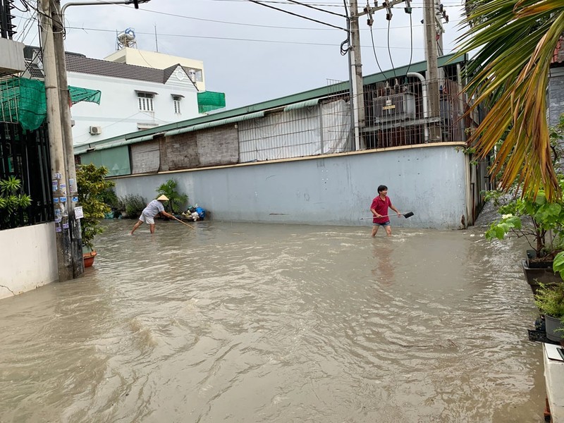 Trang Dai (Bien Hoa – Dong Nai): He luy tu phan lo ban nen va xay dung trai phep