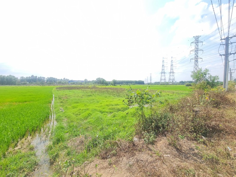 Thien Tan (Vinh Cuu, Dong Nai): “Ve quy hoach duong” chi de phuc vu phan lo dat nong nghiep?-Hinh-13