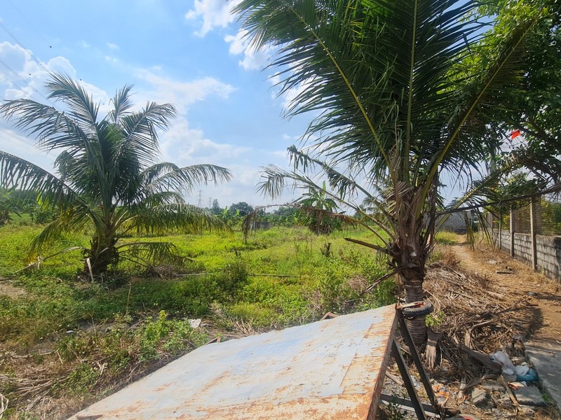 Thien Tan (Vinh Cuu, Dong Nai): “Ve quy hoach duong” chi de phuc vu phan lo dat nong nghiep?-Hinh-18