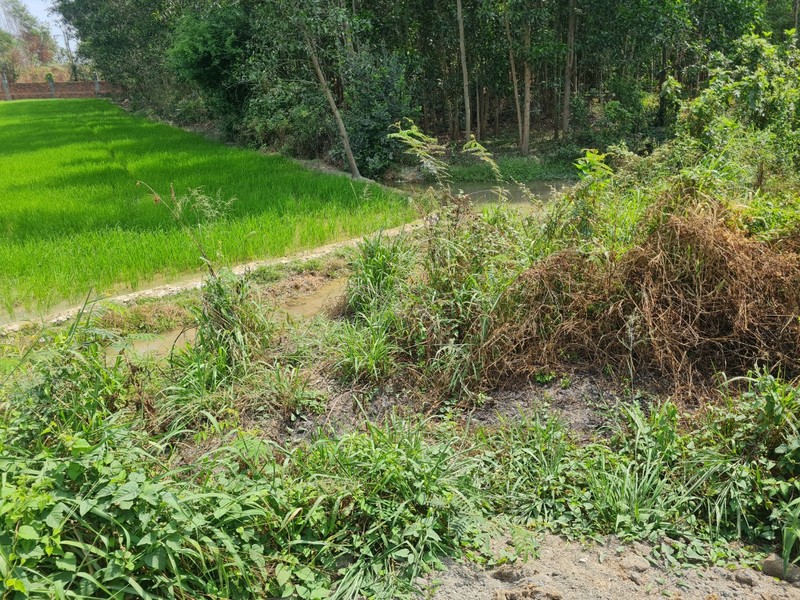 Thien Tan (Vinh Cuu, Dong Nai): “Ve quy hoach duong” chi de phuc vu phan lo dat nong nghiep?-Hinh-7