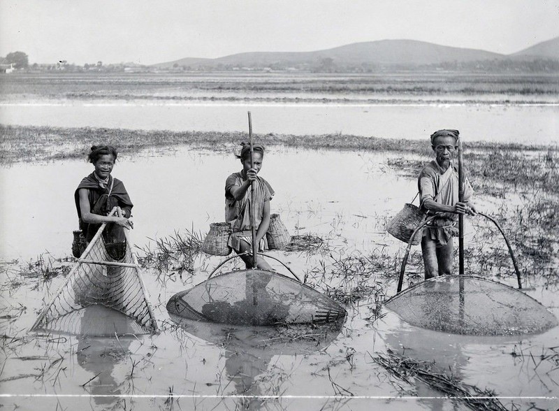 Quai dan bai thuoc chua khoi benh cho vua Tran Du Tong-Hinh-8