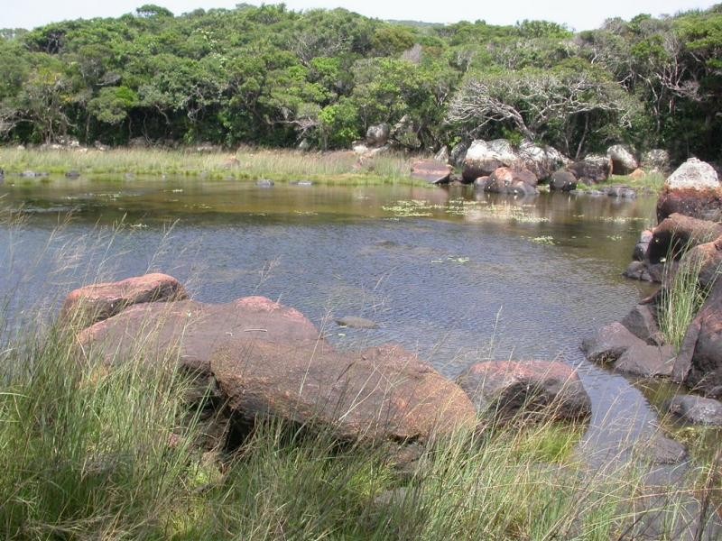 Ngam “kho bau” vo gia o vuon quoc gia Nui Chua-Hinh-15