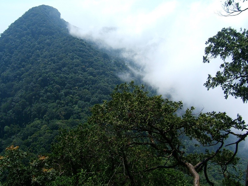 Ba Vi linh thieng vuong khi va chuyen ly ky bi an trong do