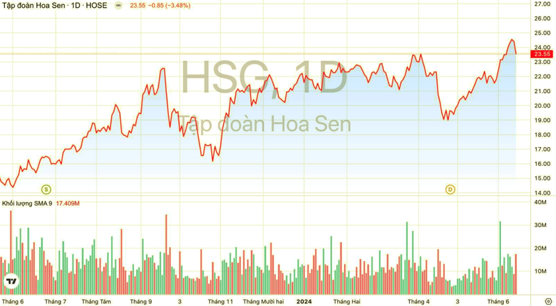 Dragon Capital nang ty le so huu tai Tap doan Hoa Sen len 10,4%-Hinh-3