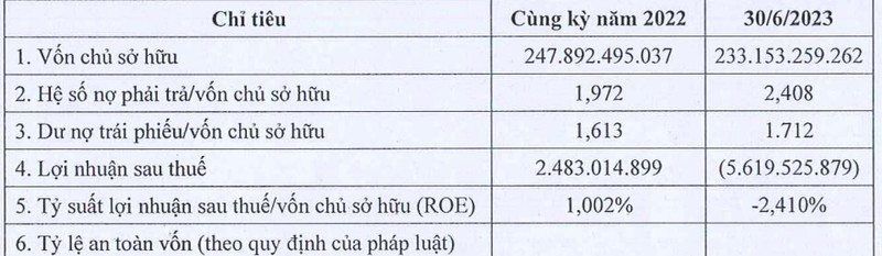 Phuc Hau bao lo 5,6 ty dong, ganh no trai phieu gan 400 ty dong-Hinh-2