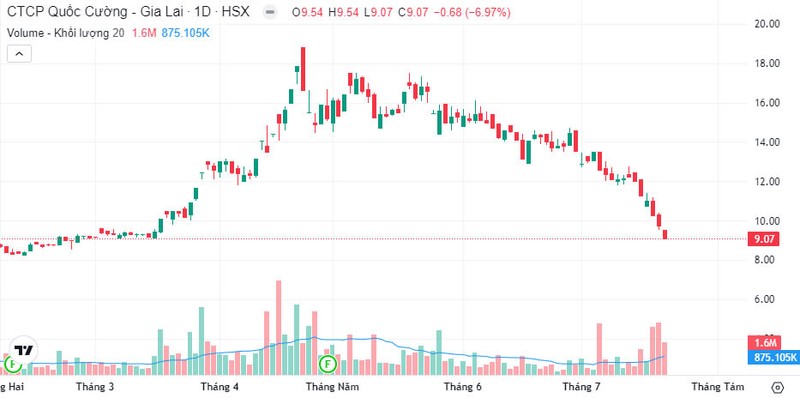 CEO bi bat, khi nao Quoc Cuong Gia Lai to chuc DHDCD thuong nien lan 2?-Hinh-2