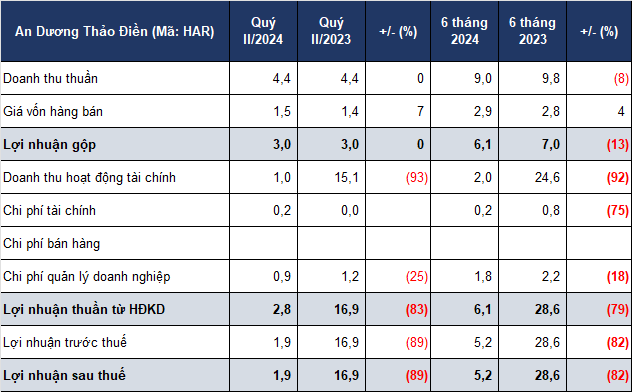 Lai rong An Duong Thao Dien “boc hoi” 90%, hoat dong tai chinh lao doc-Hinh-2