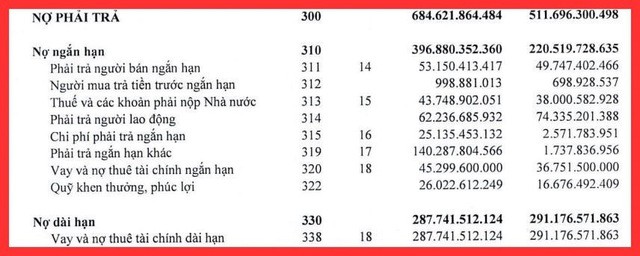 No tang vot dang sau loi nhuan 150 ty dong cua Cang Da Nang-Hinh-2