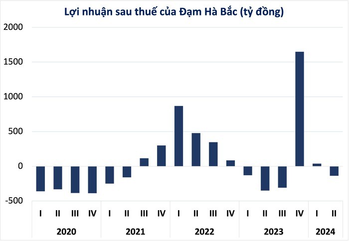 Dam Ha Bac lo hon tram ty, no vay tai chinh gan 3.000 ty dong-Hinh-2