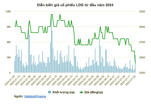 Dau tu LDG bi yeu cau mo thu tuc pha san, co phieu giam san-Hinh-3