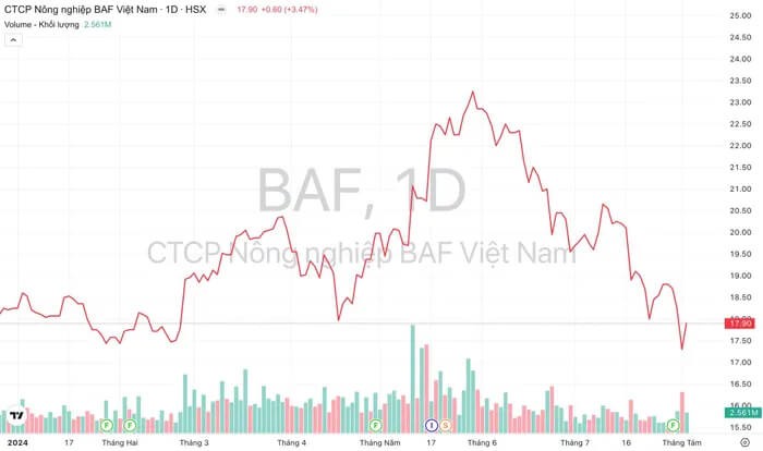 BaF Viet Nam lai gap 14 lan nho doanh thu ban lon tang manh-Hinh-3