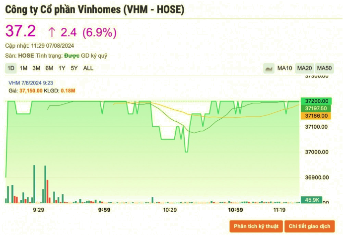 Vi sao co phieu VHM 'tim lim' tu dau phien giao dich hom nay?-Hinh-2