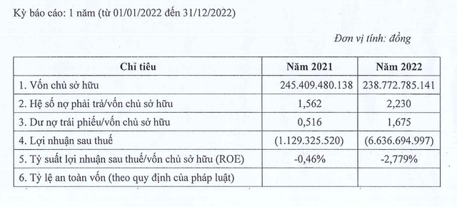 Dau tu Phuc Hau lien tiep bao lo, ganh nang trai phieu 400 ty dong-Hinh-2