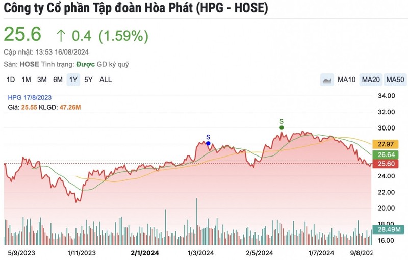 Em re ty phu Tran Dinh Long thoai het von khoi Tap doan Hoa Phat-Hinh-2