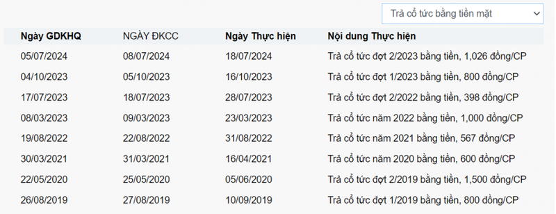 Sasco (SAS) cua ong Johnathan Hanh Nguyen sap tam ung co tuc 80 ty dong-Hinh-2