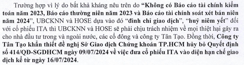 Tan Tao xin hoan cong bo thong tin vi thieu don vi kiem toan-Hinh-2