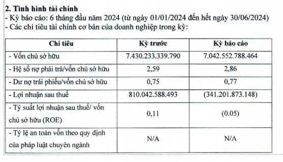 BIM Land lo hon 341 ty dong trong 6 thang dau nam 2024-Hinh-2