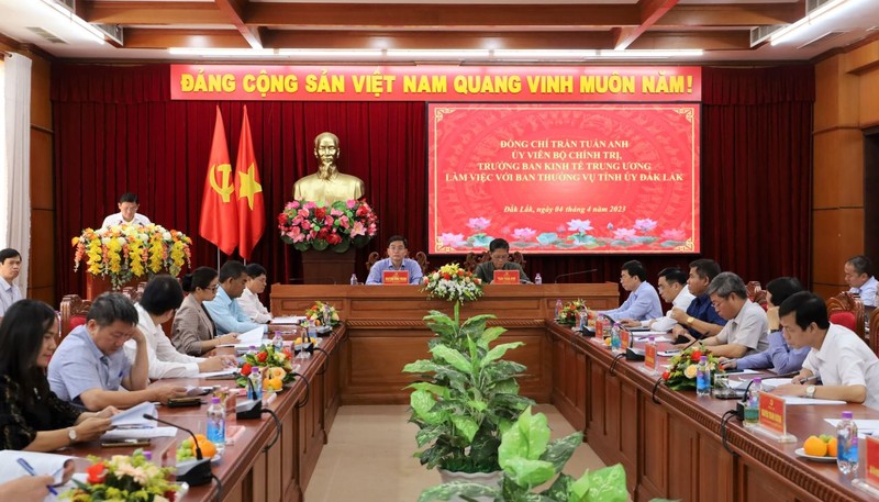 Dak Lak: Can lam ro nguyen nhan do che phu rung thap