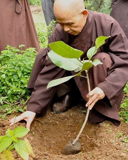 Nhung hinh anh tu bi giua doi thuong cua thien su Thich Nhat Hanh-Hinh-14