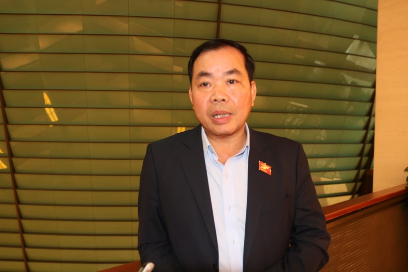 Dai bieu QH: Thong qua Luat Dat dai dap ung nguyen vong cua nhan dan