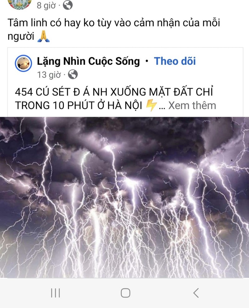 Ly giai cua chuyen gia khi tuong ve hon 10.000 cu set danh xuong Ha Noi-Hinh-3