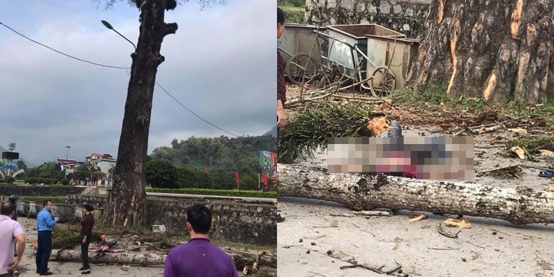 Ha Giang: Nam thanh nien dang di bo bi cay roi trung dau tu vong