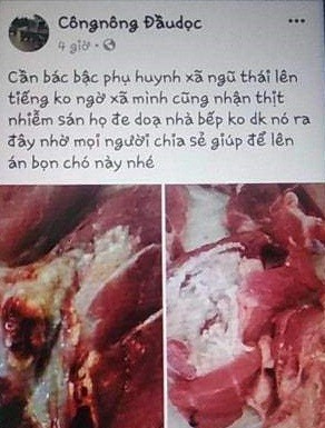 Trieu tap thanh nien tung tin don that thiet ve nhiem san lon