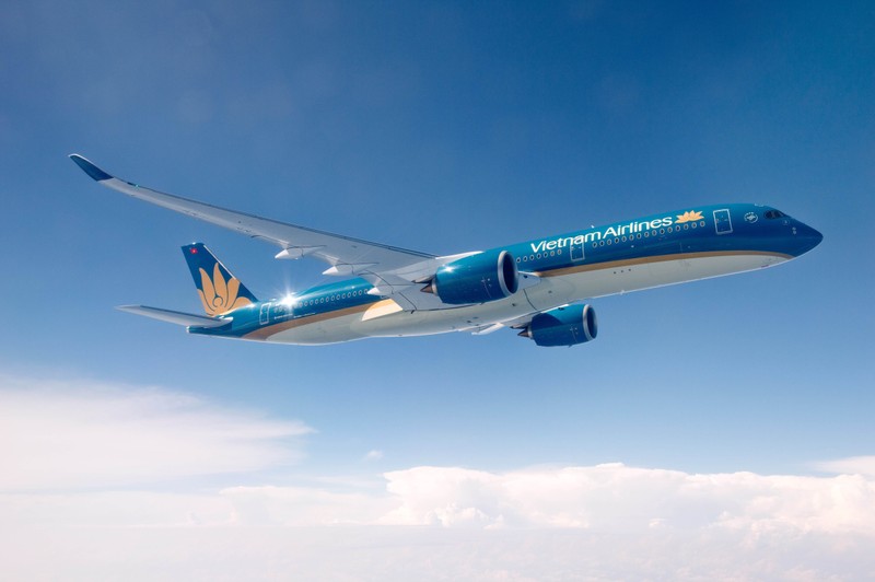 Va cham ong long, may bay Vietnam Airlines thung vo dong co