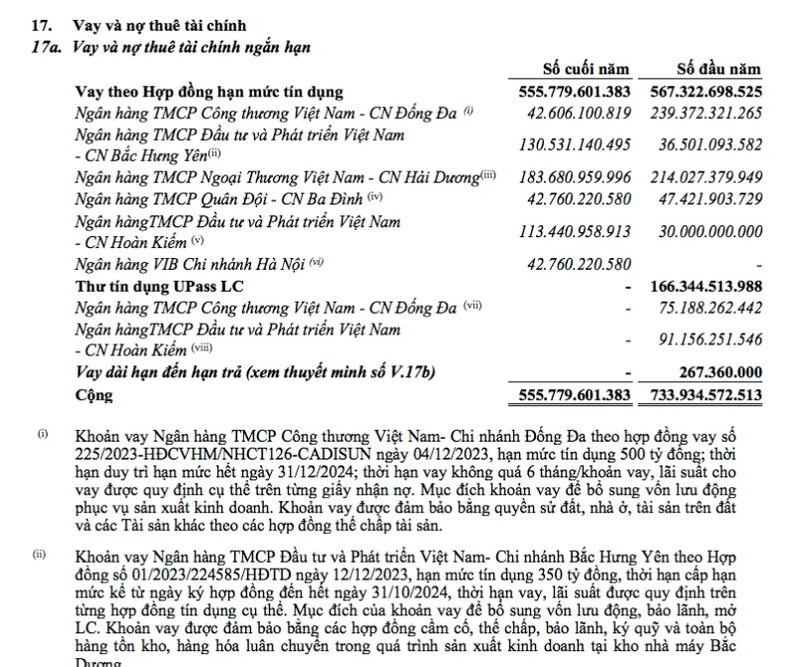 CADI-SUN the chap nha chu tich de vay tien lam an ra sao?