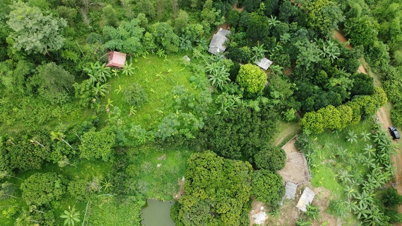 Nguoi dan keu cuu vi bong dung mat dat, TP Hoa Binh noi gi?