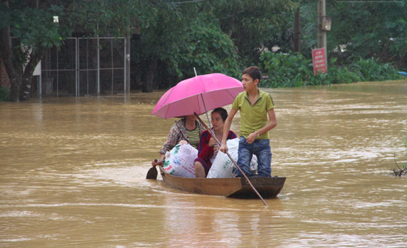 Nhung hinh anh tang thuong mien Trung: Trau bo vao nha, xe may treo len cao tranh lu-Hinh-2